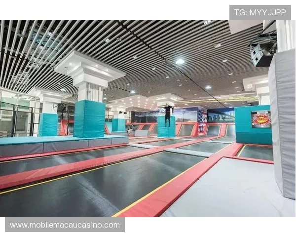 博万体育网娱乐提供的丰富线上娱乐活动与互动体验介绍