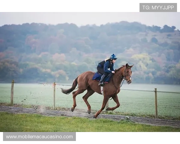 如何快速下载安装赛马会手机版,让你的投注更加便捷顺畅