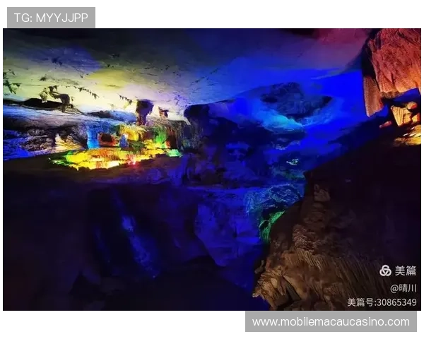 安全可靠的真人龙虎下载资源保证玩家玩得放心赢得开心