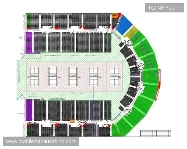 最新回力球场平面图布局方案及设计要点分析